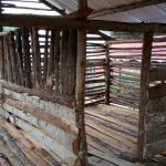 Goat project breeding shelter - shared love uganda